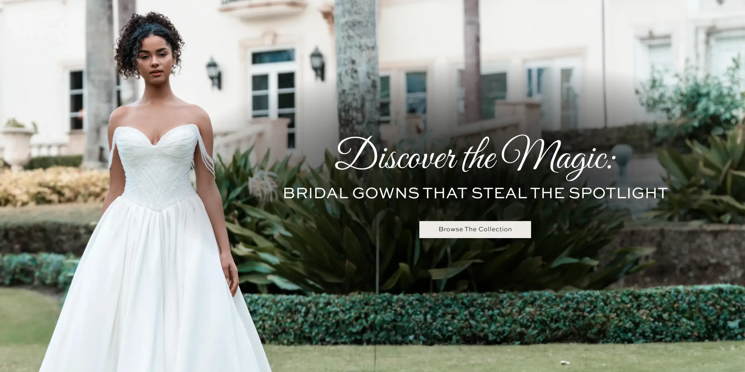 Discover the magic Fall 2025