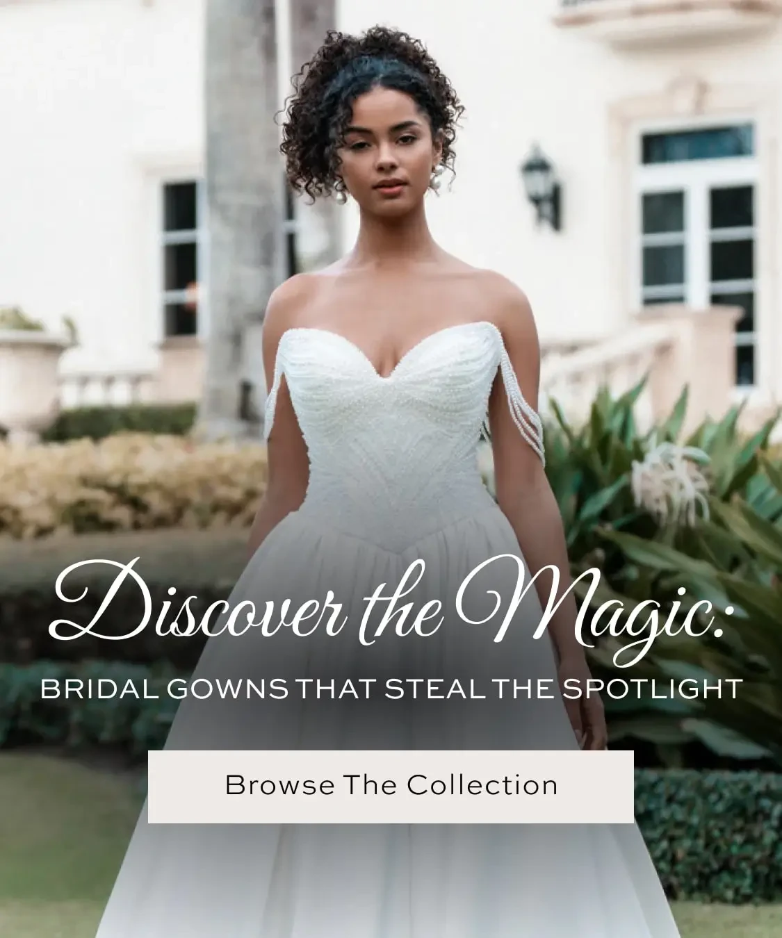 Discover the magic Fall 2025