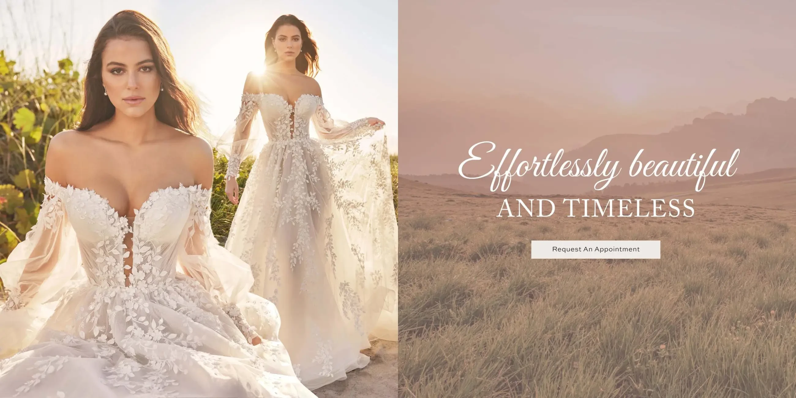 Effortlessly Beautiful & Timeless