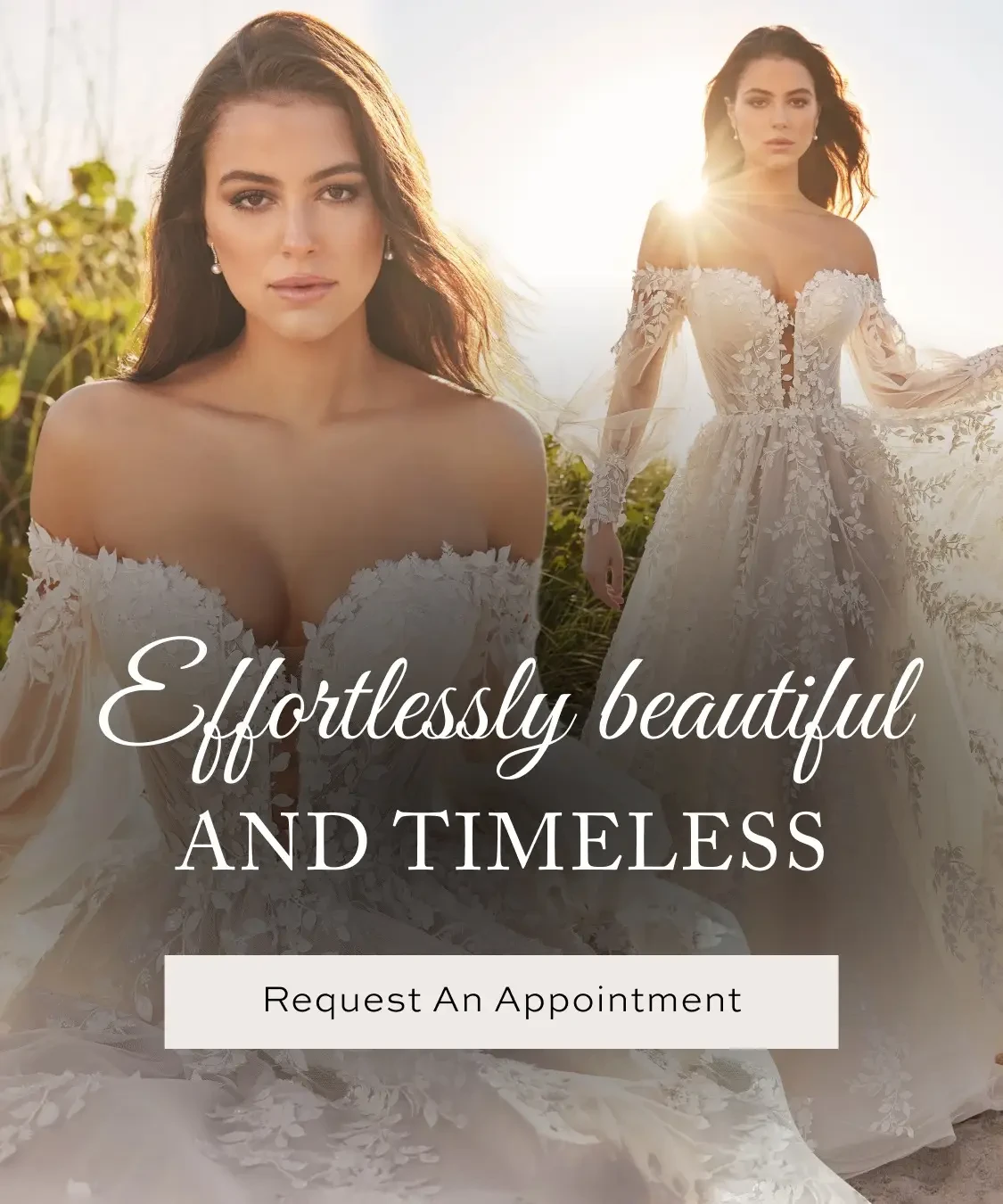 Effortlessly Beautiful & Timeless